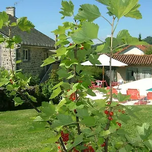 La Maison Près D'aurillac Giou-de-Mamou