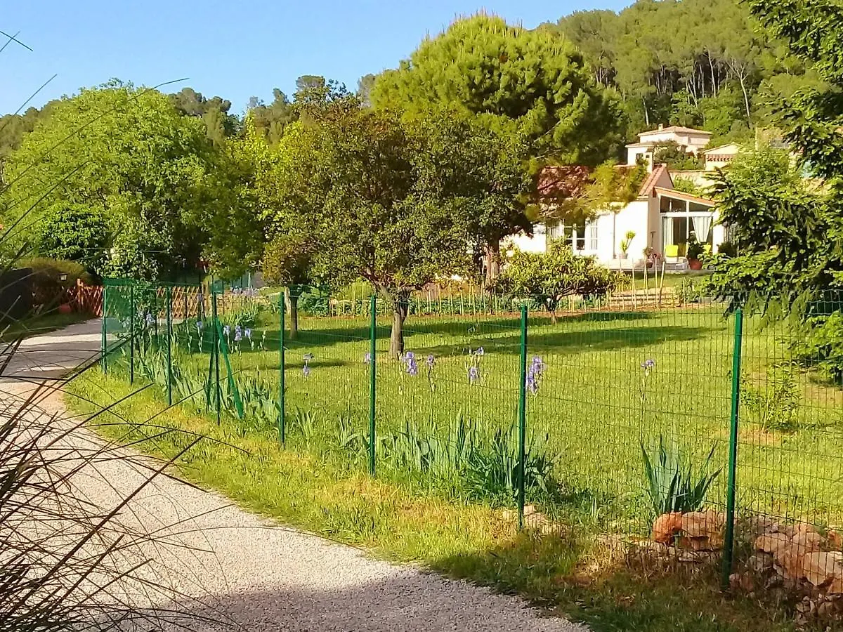 Maison d'hôtes Hotel La Micalene à Trans-en-Provence